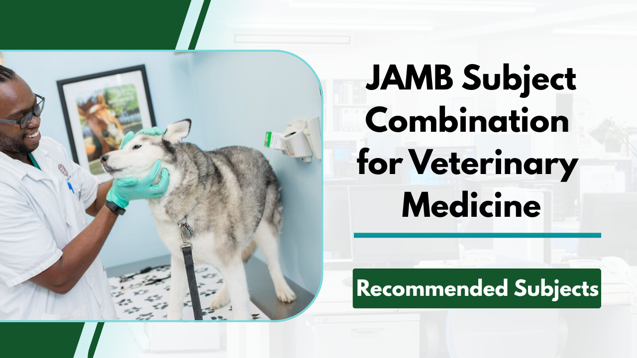JAMB Subject Combination for Veterinary Medicine